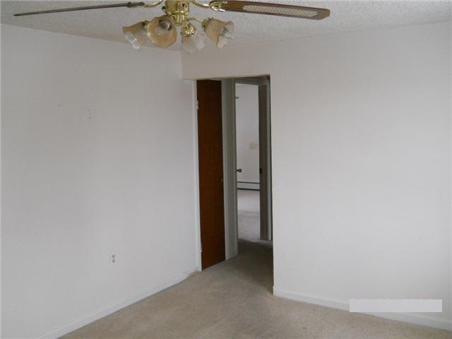 620 2nd St, Windsor, CO 80550