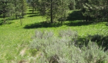 1912 Gold Dust Road Cascade, ID 83611