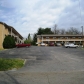 409-415 Sharp Ln, Knoxville, TN 37912 ID:491111