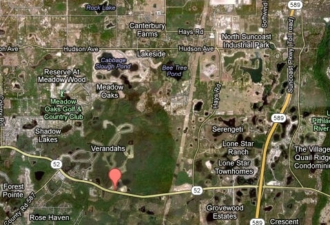 SR 52 & Hudson, Land O Lakes, FL 34638