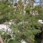 898 Temple Ter Unit 217, Los Angeles, CA 90042 ID:82739
