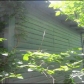 1956 Alston Ave, Fort Worth, TX 76110 ID:180507