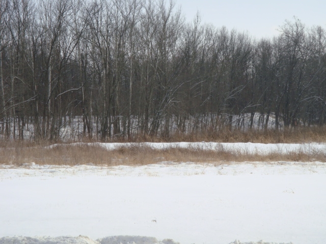 11.49 acres of land @ Lot 7 County Road 298, Moscow Mills, MO 63362