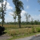 Baughn Road, Jasper, AL 35503 ID:530665