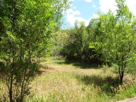 327 OAK PLACE, Manitou Springs, CO 80829