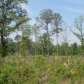 Baughn Road, Jasper, AL 35503 ID:530635