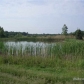 6177 Springborn Rd, East China, MI 48054 ID:531069