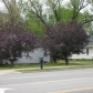 614 East Centre Ave., Portage, MI 49002 ID:401704