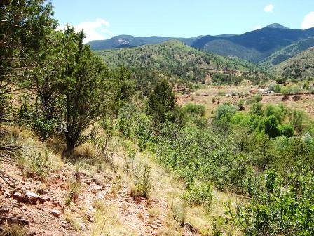 323 OAK PLACE, Manitou Springs, CO 80829