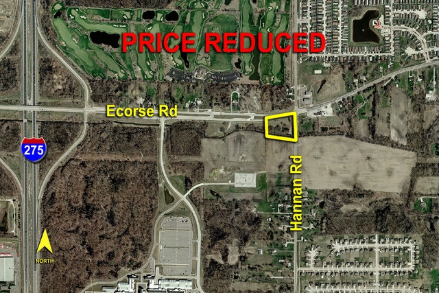 Ecorse Road, Belleville, MI 48111