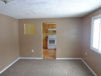 816 E Pearl St, Greenville, MI 48838