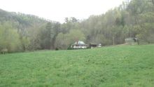 1380 Jakes Heavenly Hwy Irvine, KY 40336