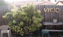 1642 SW 138 CT Miami, FL 33175