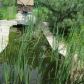 1565 Yorkshire Dr, Hanover Park, IL 60133 ID:449891