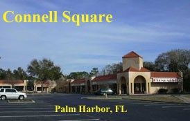 38501 US Hwy 19, Palm Harbor, FL 34684