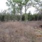 172 Abamillo Dr (Apn# R109916), Bastrop, TX 78602 ID:239640