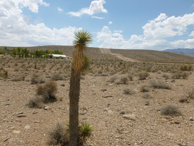 Cote and Blue Diamond raw land, Las Vegas, NV 89161
