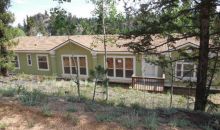 177 Donzi Trail Florissant, CO 80816