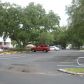 12421 N Florida Ave, Tampa, FL 33612 ID:280583