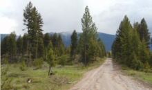 331.58 Acres Cottonwood Lakes Road Seeley Lake, MT 59868