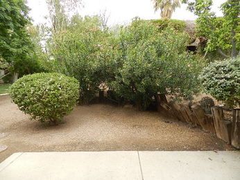 56 N Camino Imagen, Tucson, AZ 85748