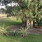 12601 SW 248 ST, Homestead, FL 33032 ID:651657
