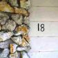 18 Never Bend Dr, Ocala, FL 34482 ID:602419