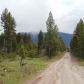 331.58 Acres Cottonwood Lakes Road, Seeley Lake, MT 59868 ID:647838