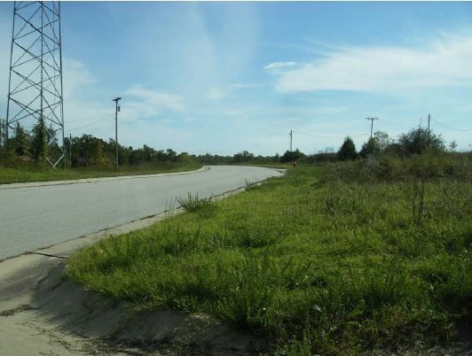 125.37 Acres Missouri Avenue, Saint Robert, MO 65584