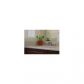 12782 NW 83RD CT # 36-C, Pompano Beach, FL 33076 ID:641184