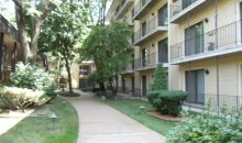 6221 N Niagara Ave Apt 508 Chicago, IL 60631