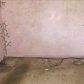 11414 English St, Orlando, FL 32817 ID:652712