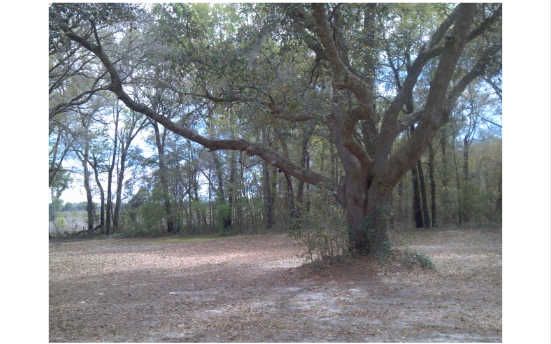 567 Sw Sanders Way, Fort White, FL 32038