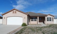 220 Micah Ct Fruita, CO 81521