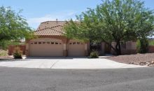 11327 S Giant Owl Place Vail, AZ 85641