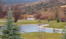LOT 27, BLK 1, PALISADES CREEK Swan Valley, ID 83449