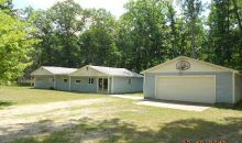 96Th Newaygo, MI 49337