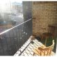 Commonwealth Ave #14, Brighton, MA 02135 ID:94157