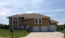 2119 Larkspur St Excelsior Springs, MO 64024