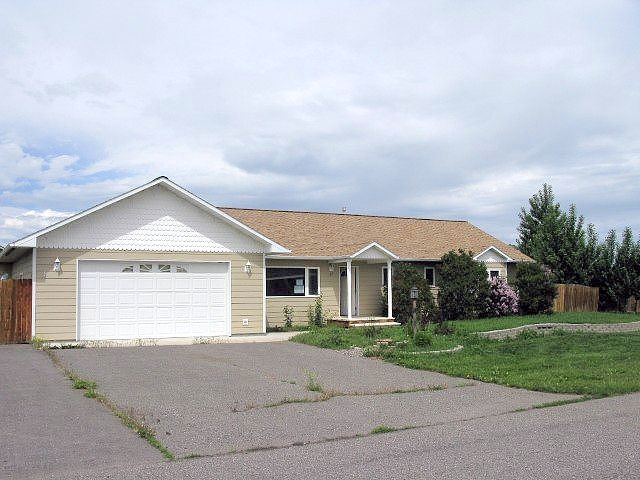 Palomino, Belgrade, MT 59714