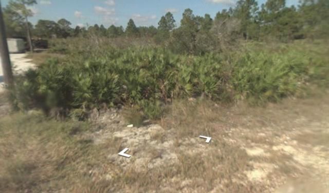 2103 Scott Ave, Alva, FL 33920