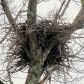 -- Graveraet Road, Stanton, MI 48888 ID:768574