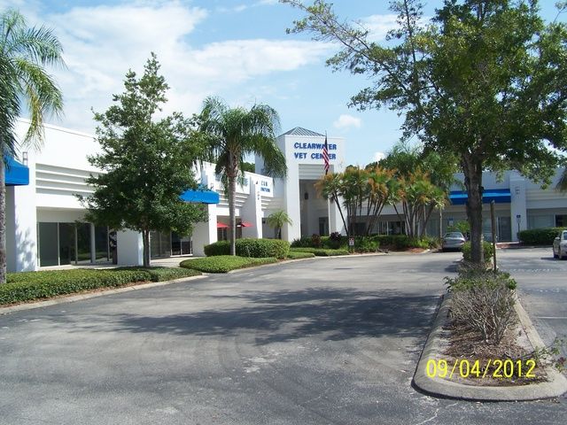 29241-29277 US Highway 19 N, Clearwater, FL 33761