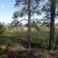 48 Pine Valley Dr, Bayfield, CO 81122 ID:561264