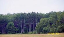 572 West M-72 Barton City, MI 48705