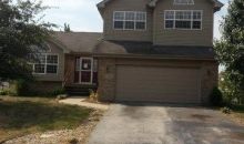 519 Farmview Rd , IL 60484