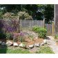 178 Perham St, West Roxbury, MA 02132 ID:482290