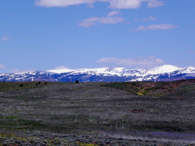 Lot 5 Hidden Canyons Road, Council, ID 83612