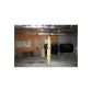 519 S Mountain Rd, Perkinsville, VT 05151 ID:654884