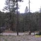 119 S Candlewood Dr, Ruidoso, NM 88345 ID:253141